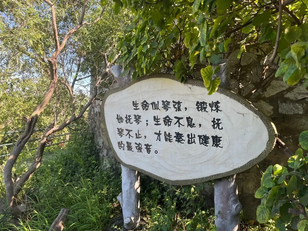 B906BD9A-DD19-4C90-800D-C230CA0294CD_1_105_c